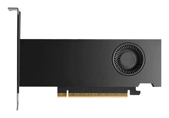 PNY RTX PRO 2000 Blackwell NVIDIA 16 Go GDDR7 - Carte graphique - visuel 1