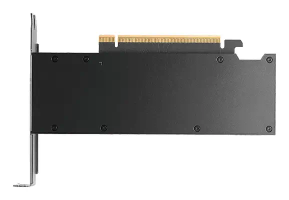 PNY RTX PRO 2000 Blackwell NVIDIA 16 Go GDDR7 - Carte graphique - visuel 2