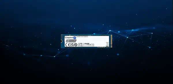 240G DC2000B PCIe 4.0 M.2 2280 Enterprise SSD (Sans radiateur de dissipation thermique) - Kingston - Disque dur SSD - visuel 7