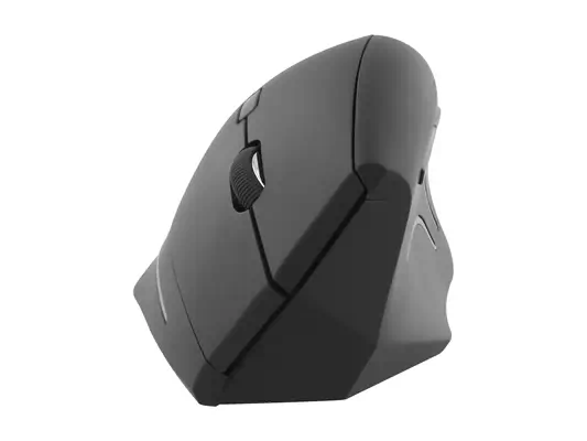 T'NB - Souris - visuel 4