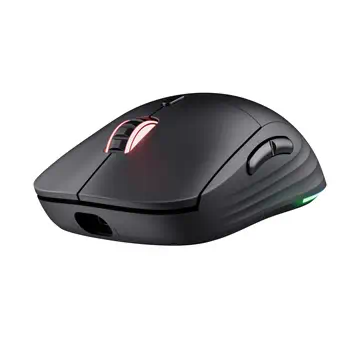 Souris Trust 25127 livraison gratuite