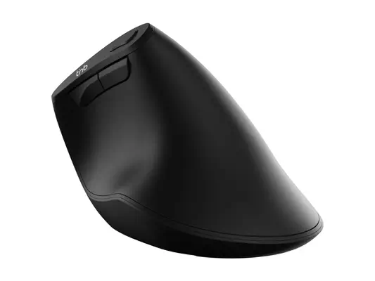 T'NB - Souris - visuel 2