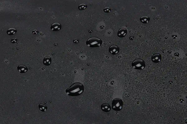 Thule Chasm TCWD232 Black Chariot Carapace molle Noir Polyester - Sacoche & Housse - visuel 4