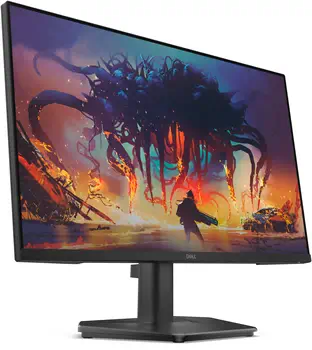 Offre Ecran Ordinateur Dell DELL-SE2425HG