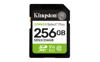 Avis SDS3/256GB