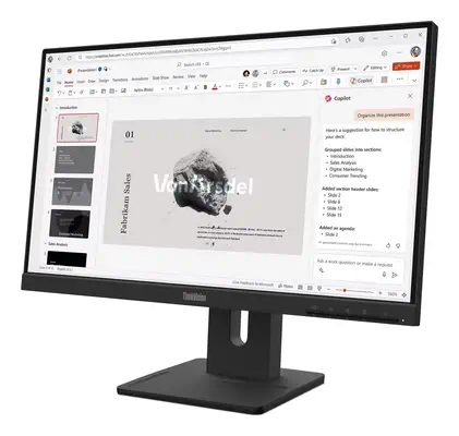 Lenovo ThinkVision E22-40 Moniteur - Ecran Ordinateur - visuel 3