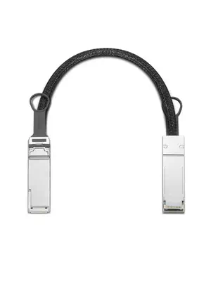 Lenovo 4X91U42988 carte réseau Fibre 112 Mbit/s - Accessoire - visuel 1