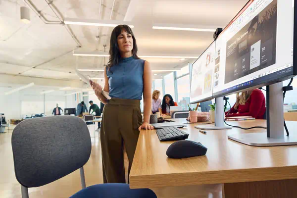 Souris sans fil rechargeable HP 700 - visuel 10