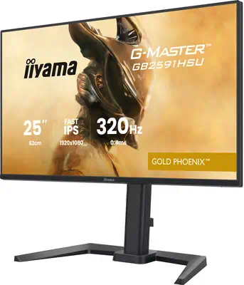 iiyama G-MASTER GB2591HSU-B1 écran plat de PC 62,2 cm (24.5") 1920 x 1080 pixels Full HD LED Noir - Ecran Ordinateur - visuel 5