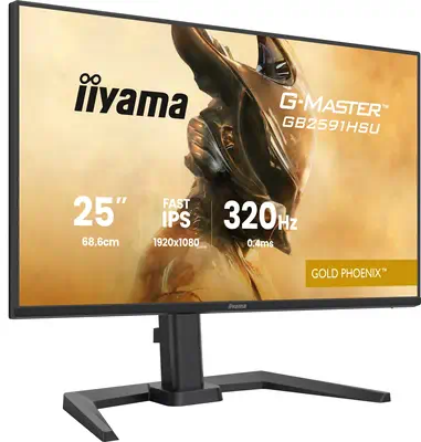 iiyama G-MASTER GB2591HSU-B1 écran plat de PC 62,2 cm (24.5") 1920 x 1080 pixels Full HD LED Noir - Ecran Ordinateur - visuel 1