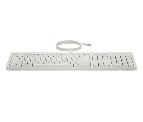 Ensemble combiné clavier et souris filaires HP 225 - Souris - visuel 4