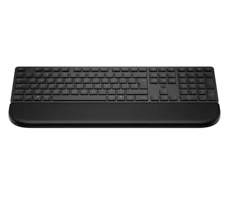 HP Multi-DevDual-ModeKBDwPlm FR clavier Noir - Clavier - visuel 1
