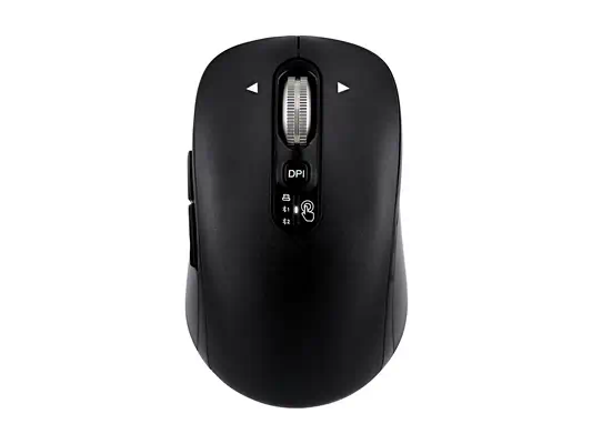 T'NB - Souris - visuel 5
