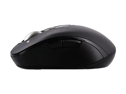 T'NB - Souris - visuel 2