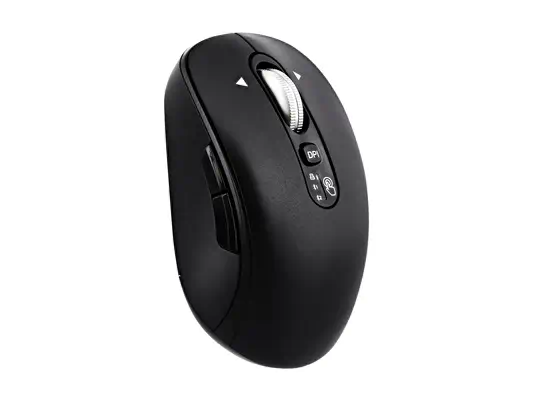 T'NB - Souris - visuel 6