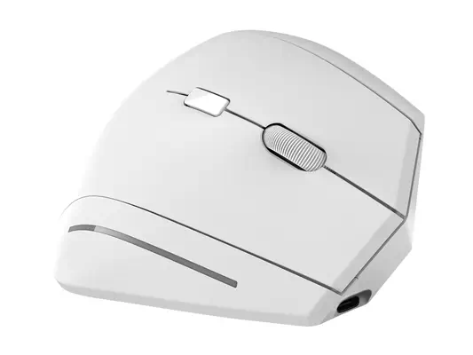 T'NB - Souris - visuel 4