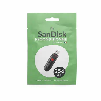 Livraison rapide Clé USB Sandisk 