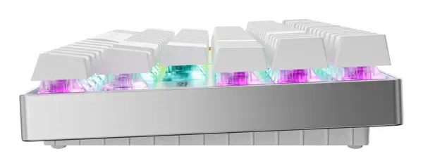 MX 8.2 Pro TMR Wireless - CHERRY - Clavier - visuel 4