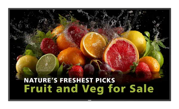 Philips 5000 series 86BDL5050D/00 Écran d'affichage dynamique 2,18 m (86") LCD Wifi 600 cd/m² Full H - Autres consommables - visuel 3