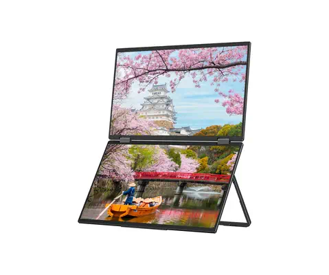 JAPANNEXT JN-DMD-IPS156F écran plat de PC 39,6 cm (15.6") 1920 x 1080 pixels Full HD LCD Noir - Ecran Ordinateur - visuel 2