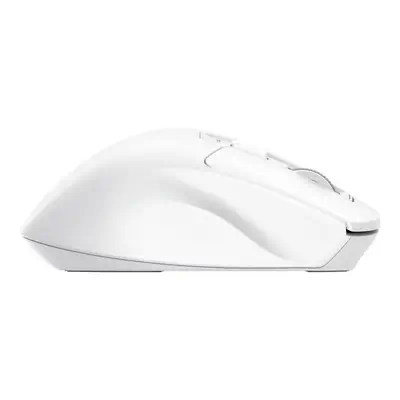 Trust Niven souris Bureau Droitier RF sans fil + Bluetooth 3200 DPI - Souris - visuel 6