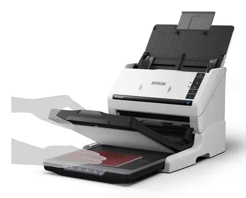 Epson WorkForce DS-530III Alimentation feuille à feuille de scanner 600 x 600 DPI A4 Blanc - Scanner - visuel 9