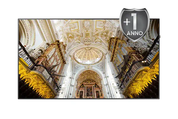 Samsung P-LM-1NXX95H extension de garantie et support 1 licence(s) 1 année(s) - Accessoire Moniteur - visuel 1