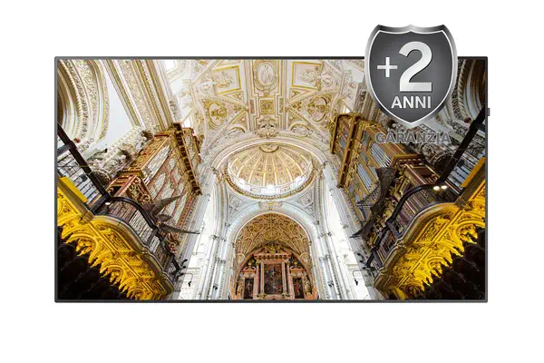 Samsung P-LM-2NXX95H extension de garantie et support 1 licence(s) 1 année(s) - Accessoire Moniteur - visuel 1