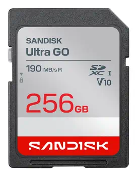 SDSDUGN-256G-GN6IN achat responsable