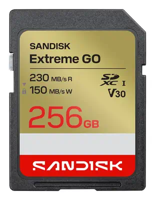 SanDisk Extreme GO 256 Go SDXC UHS-I - Sandisk - Carte Mémoire - visuel 1