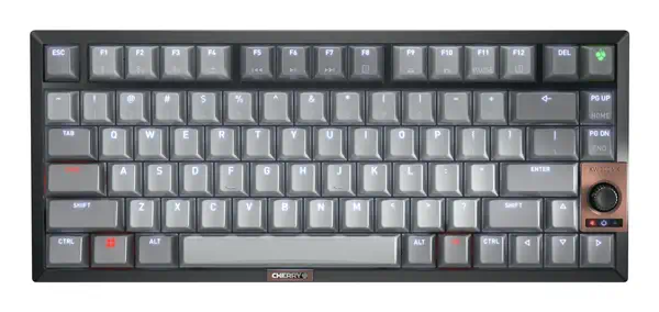 CHERRY KW 300 MX clavier Maison USB + Bluetooth QWERTY Anglais américain Noir, Cuivre, Gris - Clavier - visuel 1
