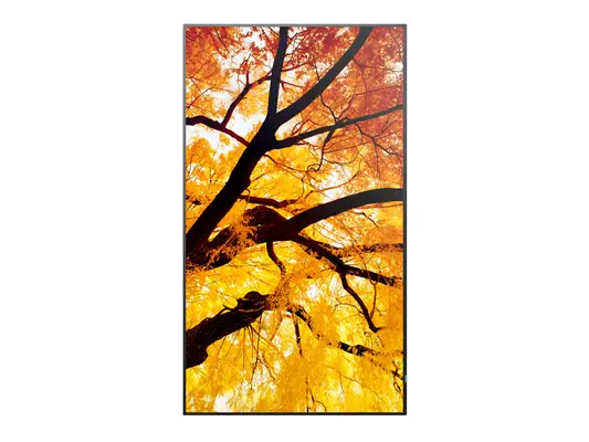 Sharp MultiSync M432 Écran plat de signalisation numérique 108 cm (42.5") LCD 550 cd/m² 4K Ultra HD  - Affichage dynamique - visuel 3
