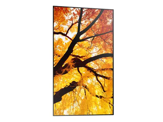 Sharp MultiSync M502 Écran plat de signalisation numérique 127 cm (50") LCD 550 cd/m² 4K Ultra HD No - Affichage dynamique - visuel 4