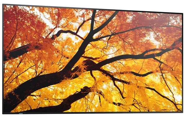 Sharp MultiSync M552 Écran plat de signalisation numérique 139,7 cm (55") LCD 550 cd/m² 4K Ultra HD  - Affichage dynamique - visuel 5