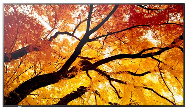 Sharp MultiSync M552 Écran plat de signalisation numérique 139,7 cm (55") LCD 550 cd/m² 4K Ultra HD  - Affichage dynamique - visuel 2