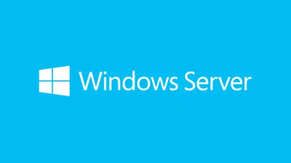 Microsoft Windows Server 2019 Licence d'accès client 5 licence(s) - Autres logiciels Microsoft - visuel 1