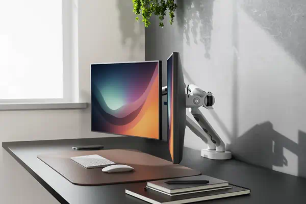 Digitus Support d'écran Dual Design, 2x 35", 2x 10 kg - Accessoire Affichage - visuel 2