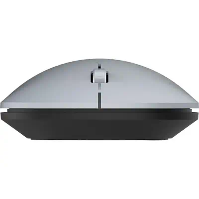 TERRA NBM1000S souris Ambidextre RF sans fil + Bluetooth Optique 4000 DPI - Dispositif pointage - visuel 2