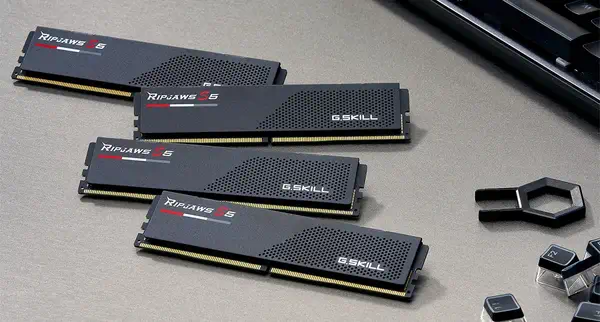 F5-6000J3040F16GX2-RS5K - G.Skill - Mémoire - visuel 3
