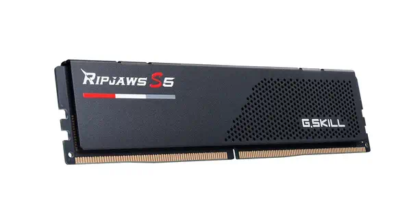 F5-5600J3636C16GX2-RS5K - G.Skill - Mémoire - visuel 4