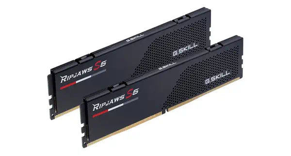 F5-5600J3636C16GX2-RS5K - G.Skill - Mémoire - visuel 2