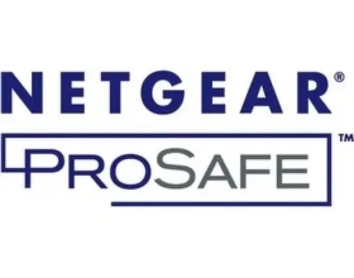 NETGEAR GSM7328FL Mise à niveau - Netgear - Carte Réseau - visuel 1