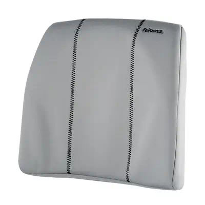 Fellowes Support dorsal fin Gris - Produit ergonomique - visuel 1
