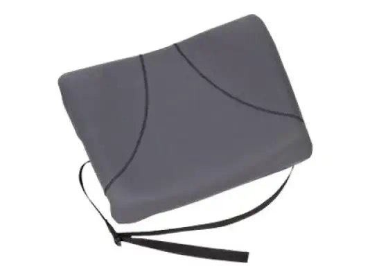 FELLOWES SUPPORT DORSAL FIN - GRIS PLATINE - Fellowes - Produit ergonomique - visuel 1