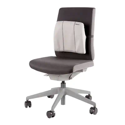Fellowes Support dorsal fin Gris - Produit ergonomique - visuel 2