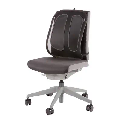 Fellowes Support dorsal en maille Office Suites - Produit ergonomique - visuel 2