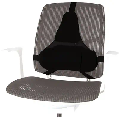 Fellowes Support dorsal Premium Professional Series - Produit ergonomique - visuel 2