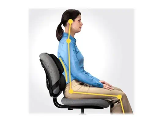 FELLOWES Support dorsal Premium Professional Series™ Antibactérien - Fellowes - Produit ergonomique - visuel 3