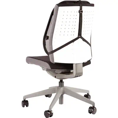 Fellowes Support Dorsal Maille Professional Series - Produit ergonomique - visuel 3