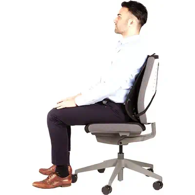 Fellowes Support Dorsal Maille Professional Series - Produit ergonomique - visuel 5